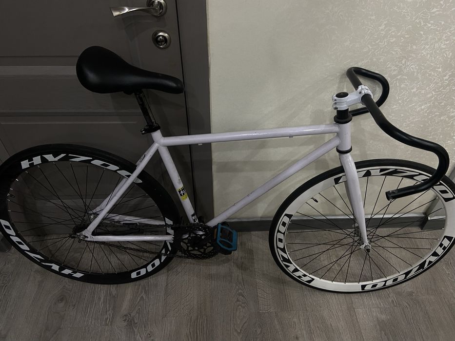 Фикс (синглспид)