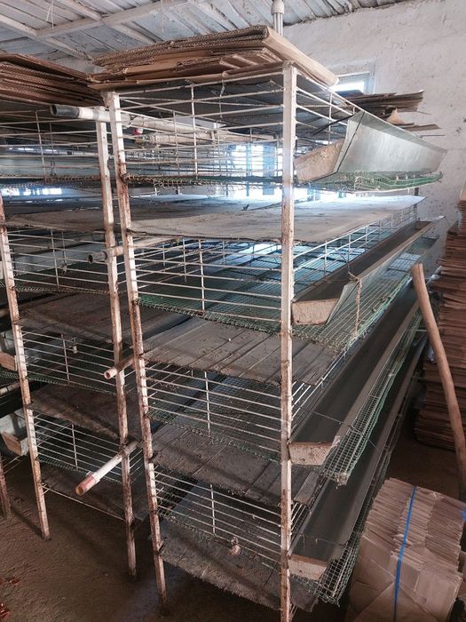 Бедана кафас ин катак сотилади