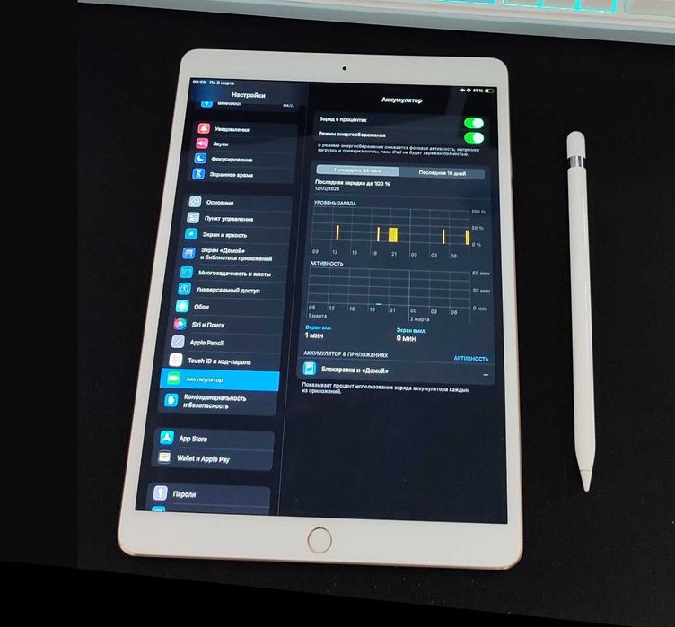 iPad Pro 10.5 золотого цвета + стилус