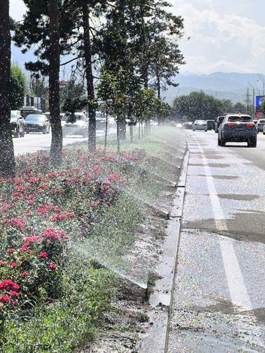 Автополив. Проектирование и монтаж.