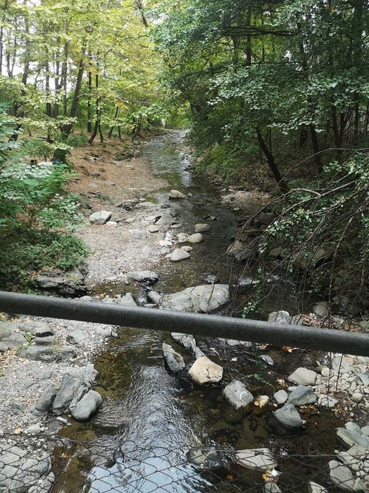 Парцел 1 линия река  с. Първенец