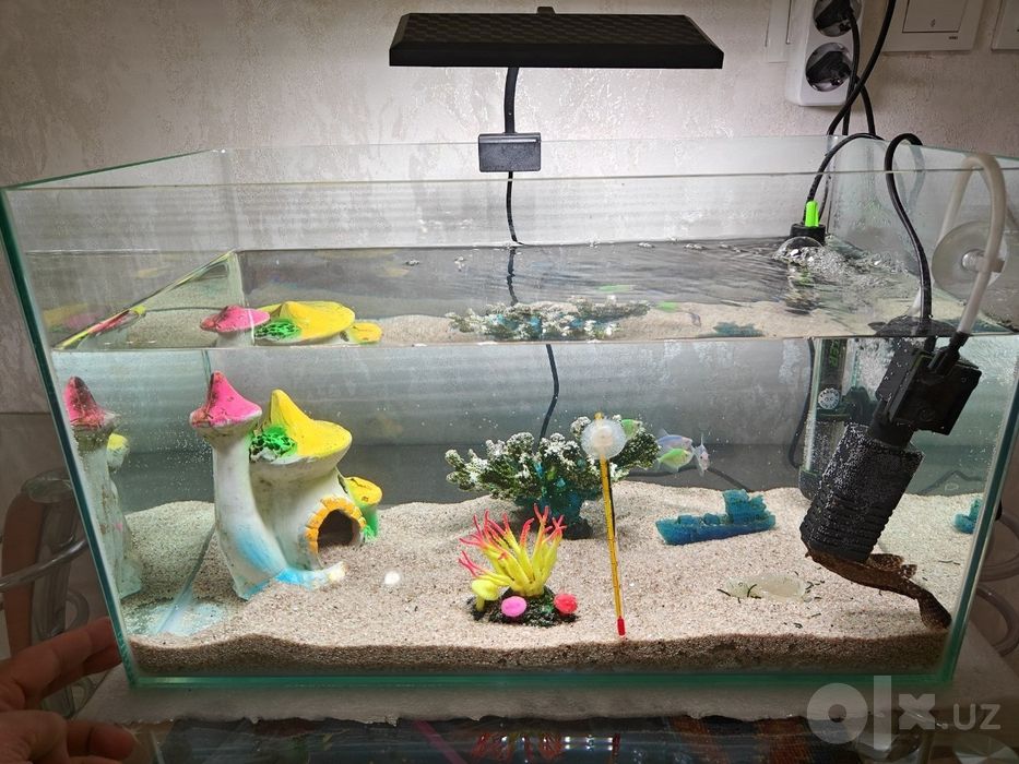 Akvarium 40 litrli
