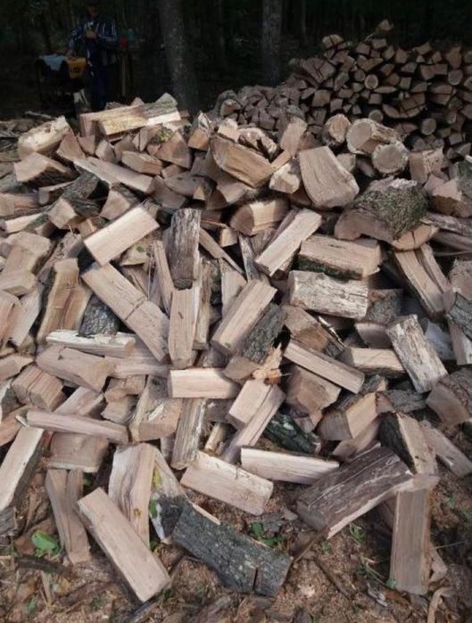 Vând lemne de foc ! Esență tare , la cele mai avantajoase preturi