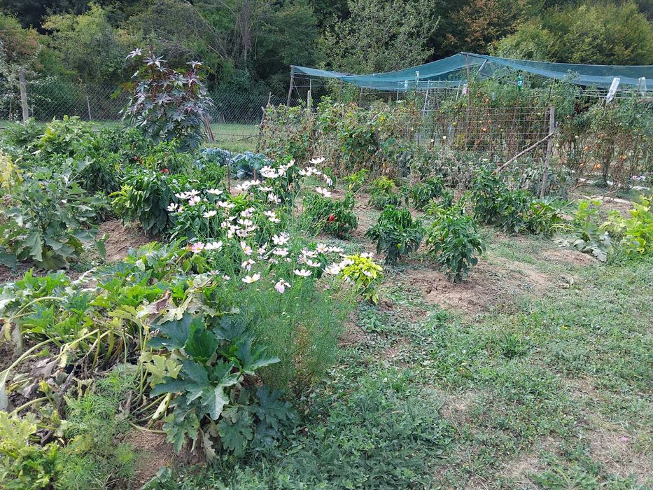 Продавам 1010 кв. м. в регулация и 2 декара зем. земя в с. Враниловци.