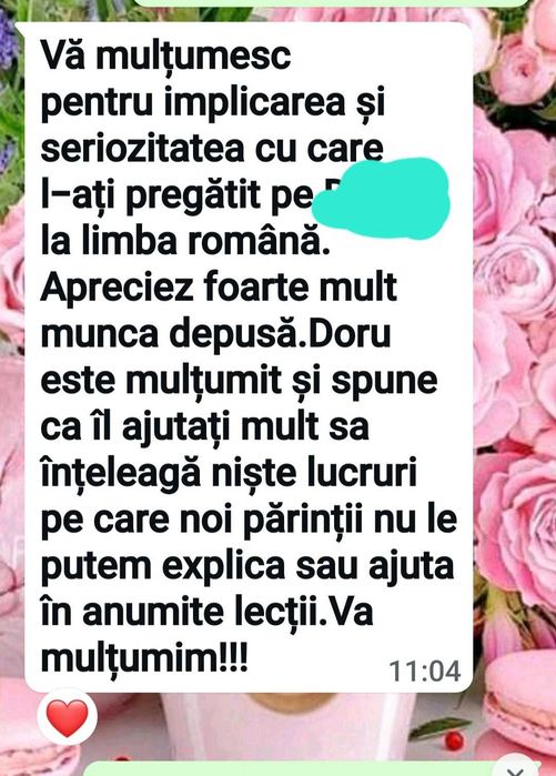 Profesor (PFA) ofer meditații pentru limba română și limba engleză