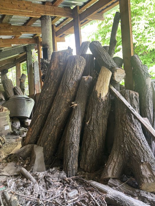 Дрова орех, карагач