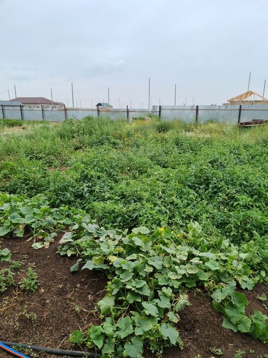 Продам большой, новый дом.