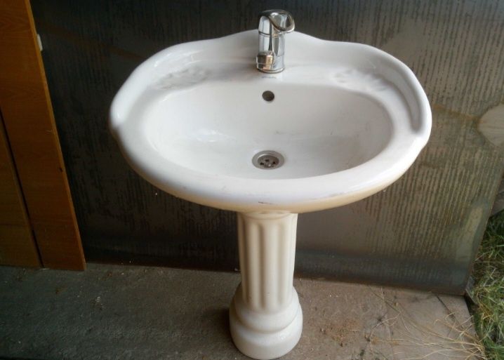 Раковина тюльпан