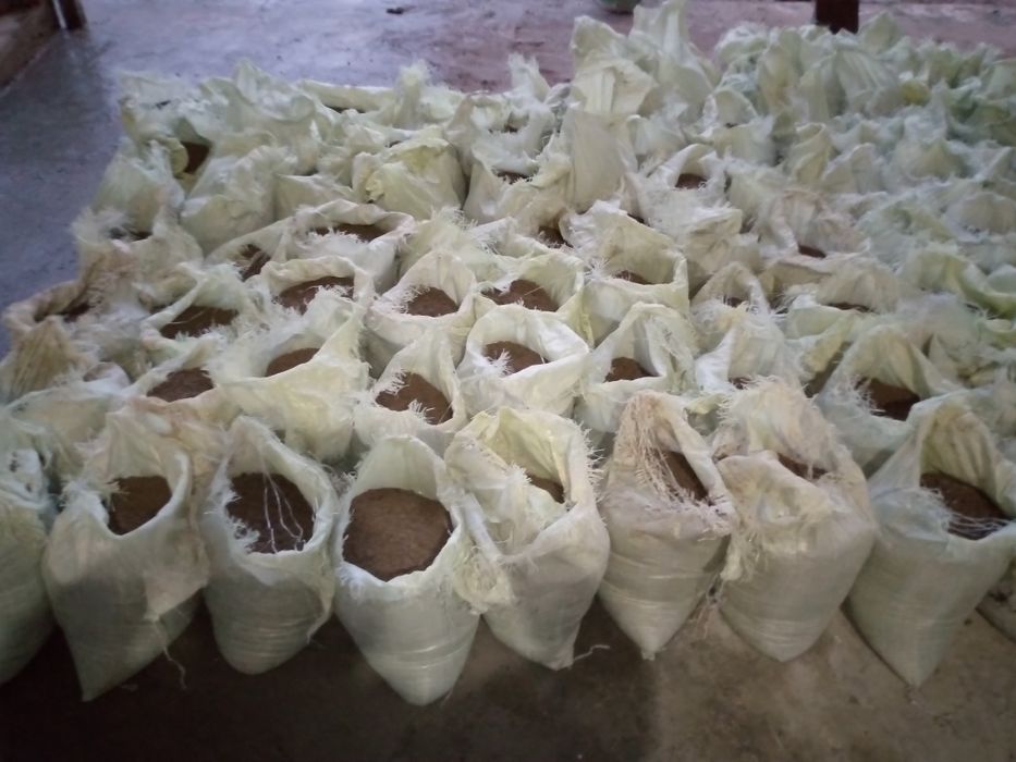 Klines, G'isht sotiladi