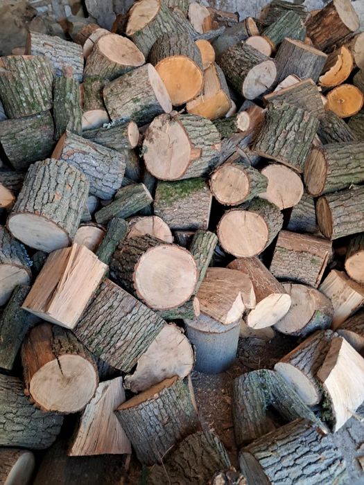 Lemne de foc esenta tare crapate uscate