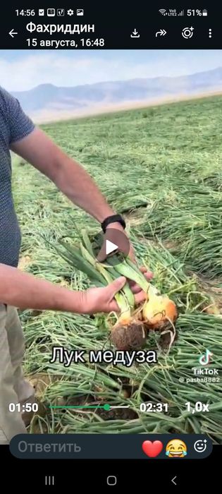 Лук бонус оригинал