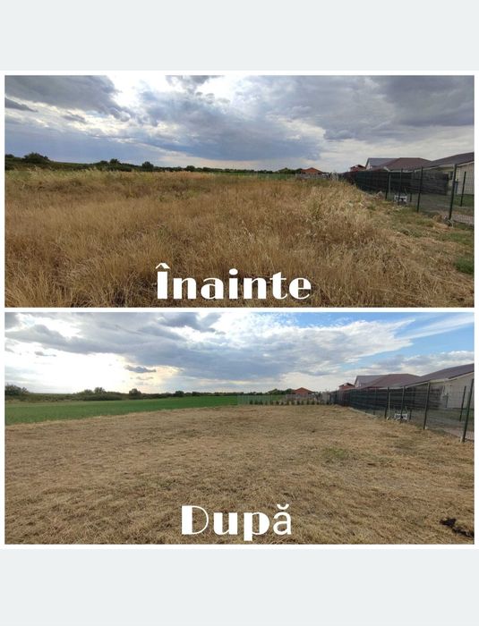 Tund iarbă cu motocoasă