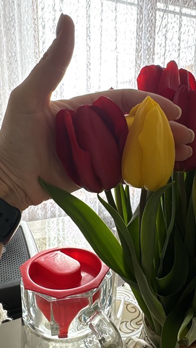 Тюльпаны к 8 марта