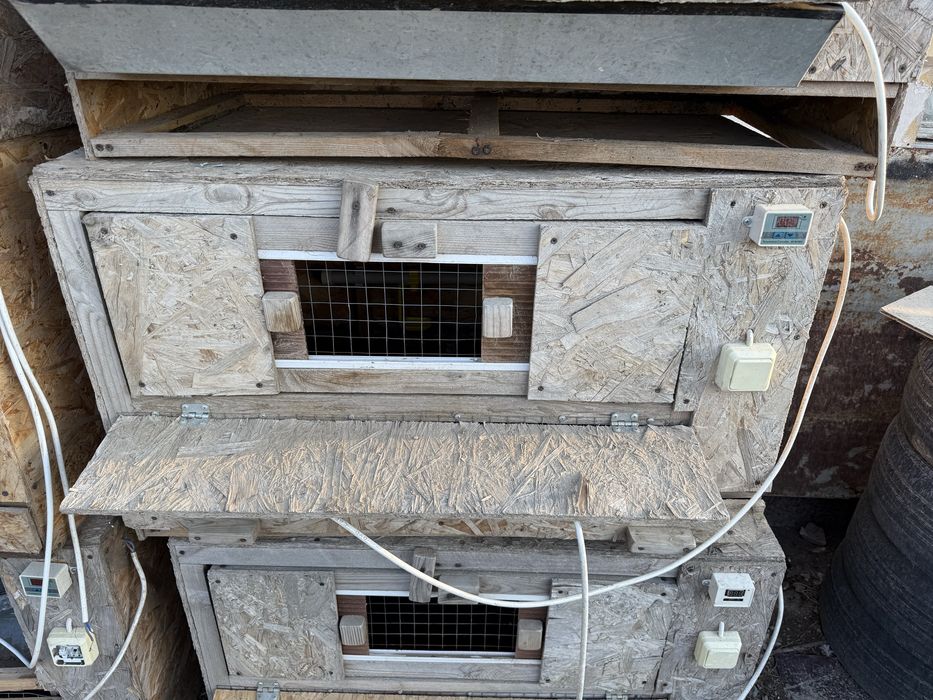 Брудер для цыплят