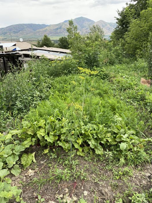 Продам дом с большим участком