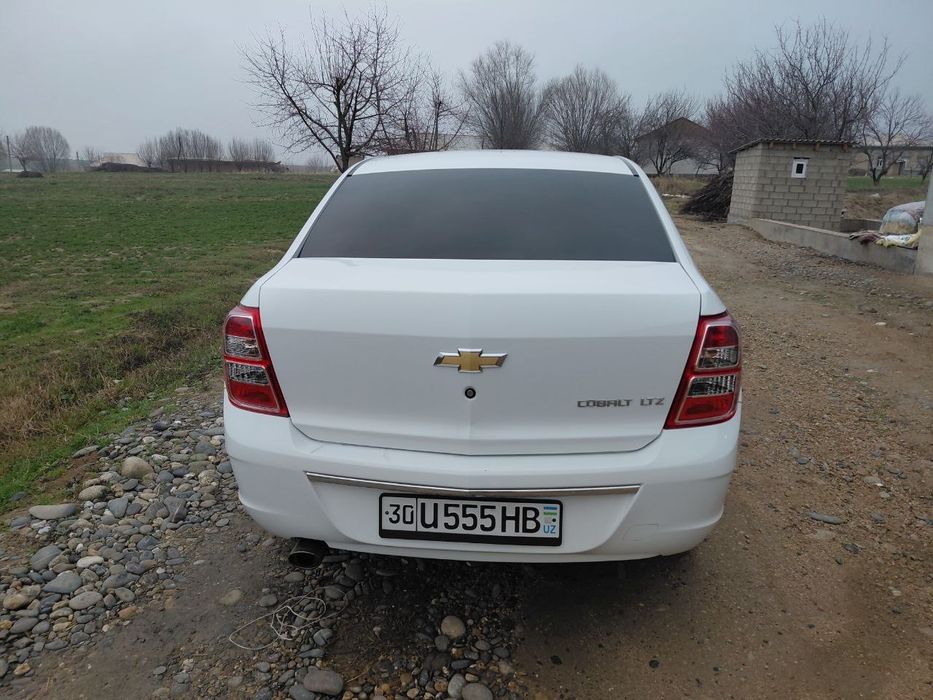 Cobolt xolati zur 2025