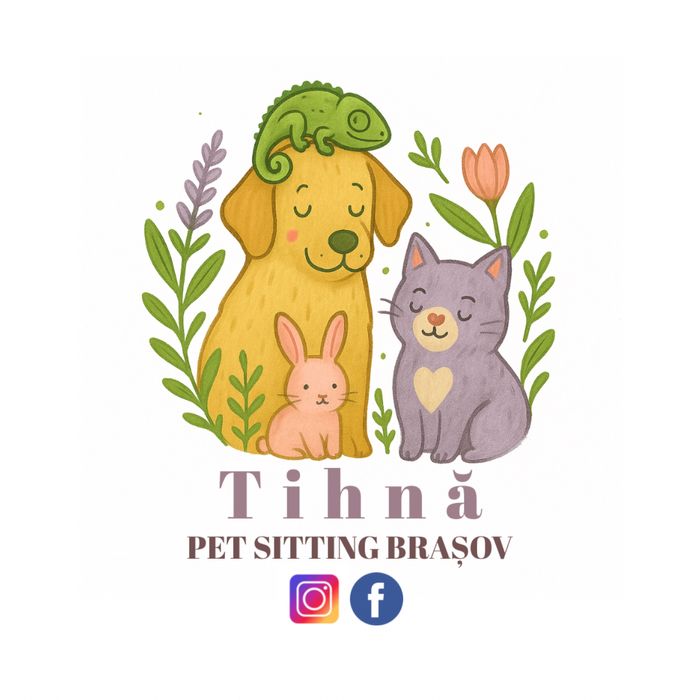 Pet sitting pentru lăbuțe fericite și inimi liniștite