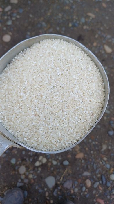 Продам рисовую сечку