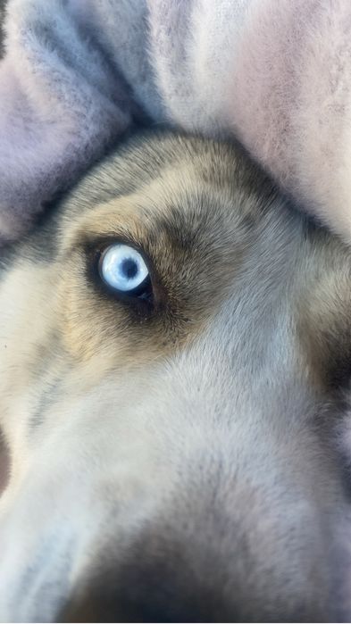 Ищем подружку срочно !