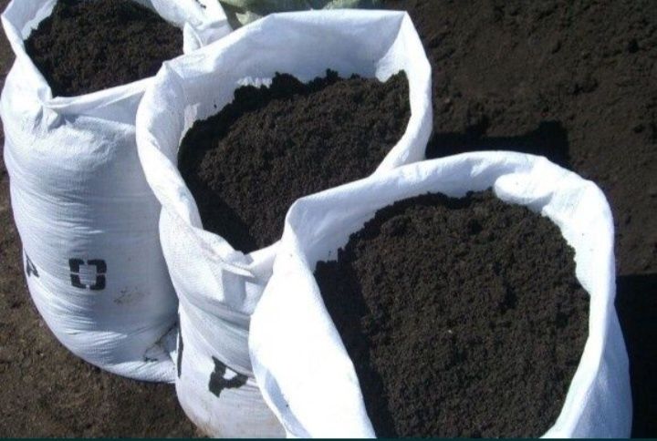 Kaliforniya qizil chuvalchangi va biogumus