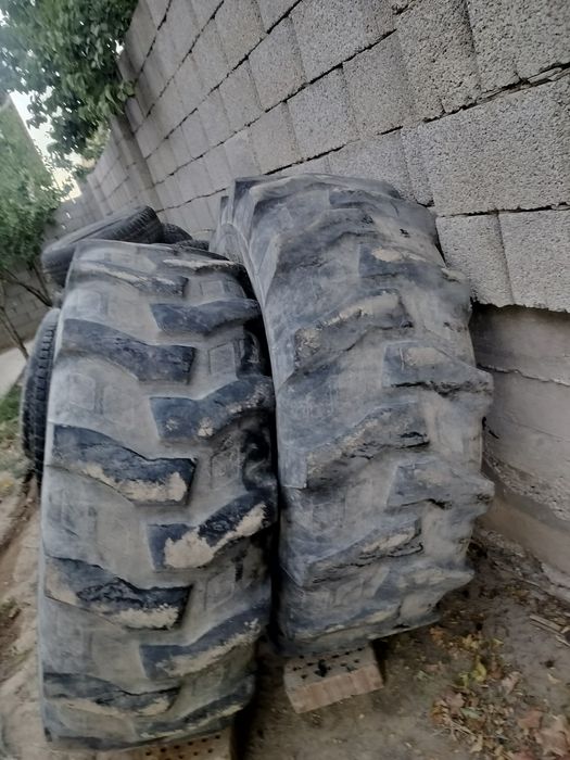 погрузчикке балон 16.9-28 сатылады!!!