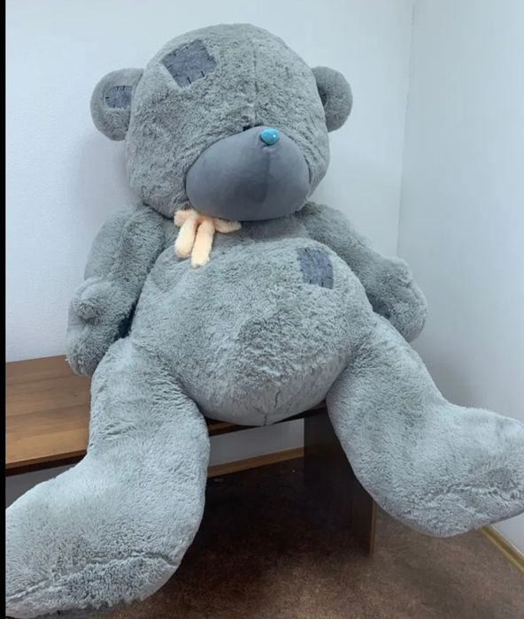 Teddy ayiq. Eng kattasi. Narx kelishiladi