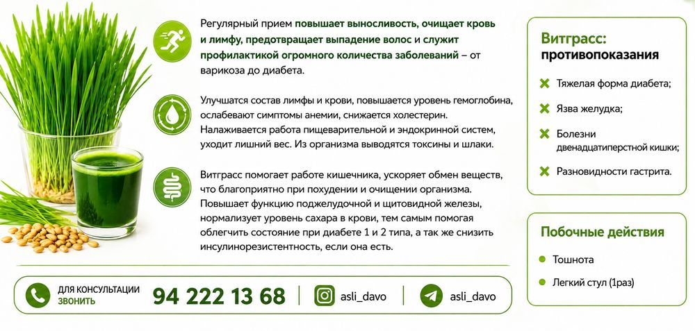 Витграсс wheatgrass
