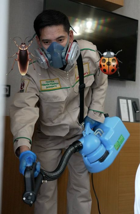 Дезинфекция Тараканов клопов муравей термит мышей крыса скорпион