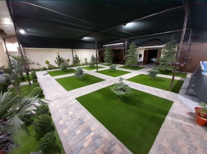 Газон экамиз. Уруг сепамиз