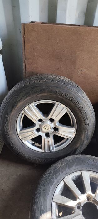 Продается Ризина с диском