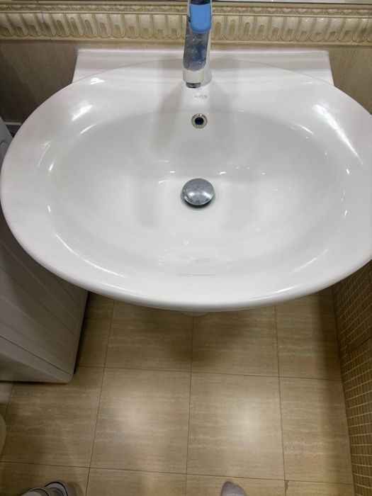 Раковина ,,Тюльпан’’