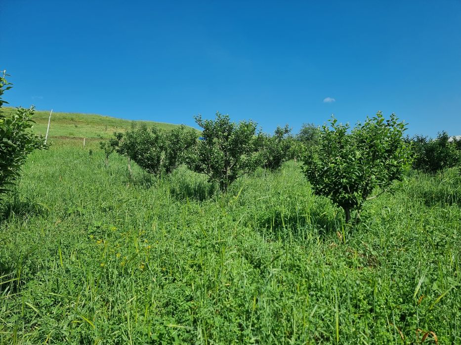 Продам земельный участок 4 соток