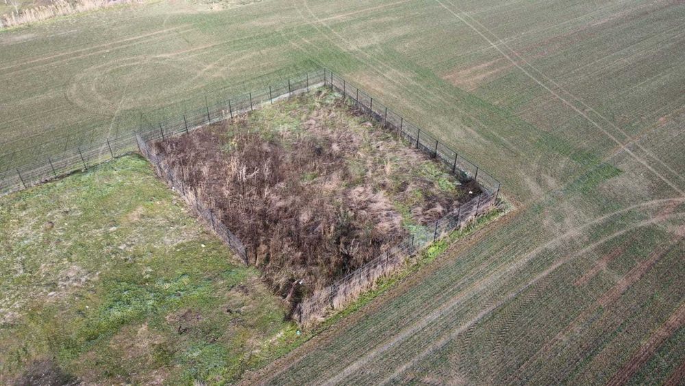 Teren Intravilan 562 MP Golesti Imprejmuit Aleea Magnoliei 21