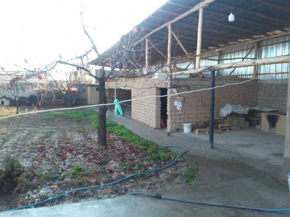 Янгийўл тумани Стаханов махалласи М39 га 1 километр уйсотилади