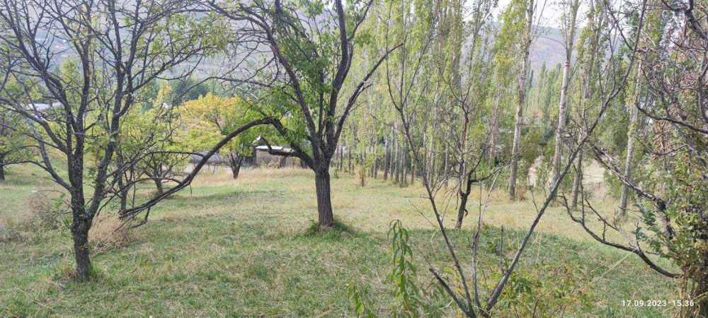 Участок под строительство в Чимгане