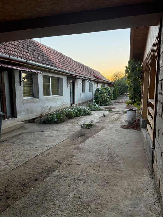 Casa Gospodarie Ferma Bodrogu Nou