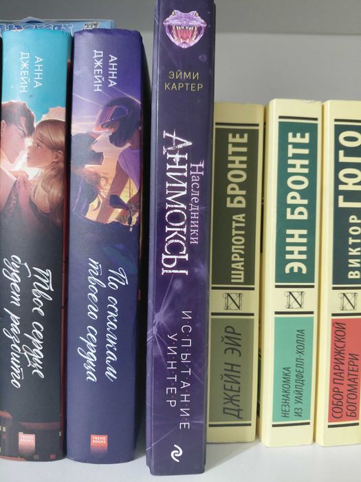 книга фэнтези анимоксы