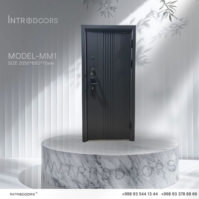 Kirish eshiklar. Входные двери. Металический дверь