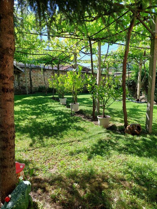 Продавача се масивна къща в кв. Въбел, гр. Търговище