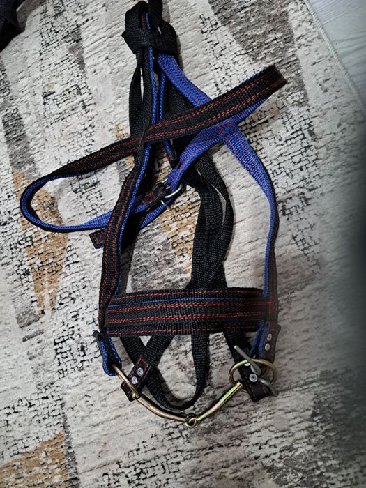 Жуген нокта сатылады