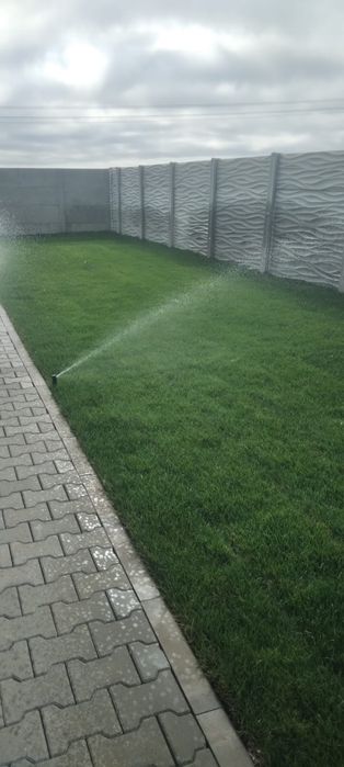 Gazon rulou calitate superioara