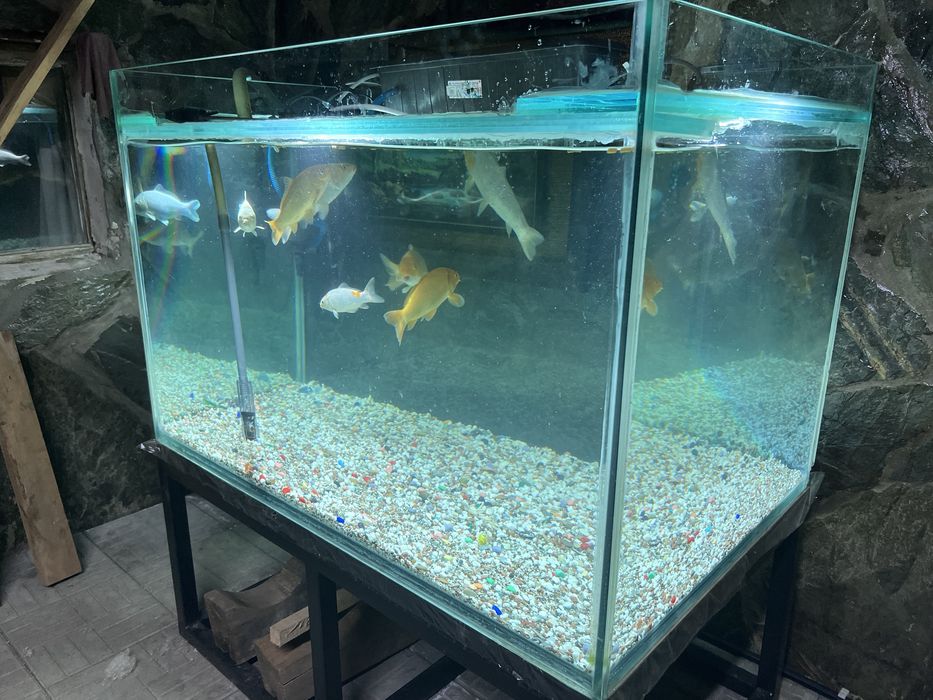 Аквариум на 700 литров