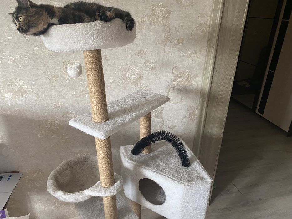 Домик для кошки