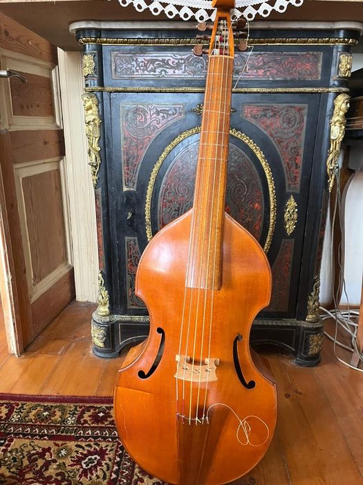 Viola da gamba , un instrument deosebit