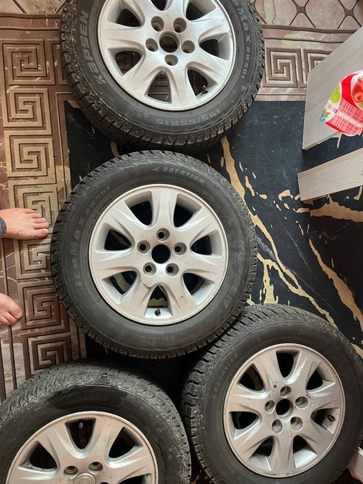 Пашти новы званите