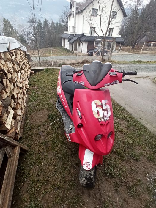 Vand malaguti f12 ducati corse DEFECT