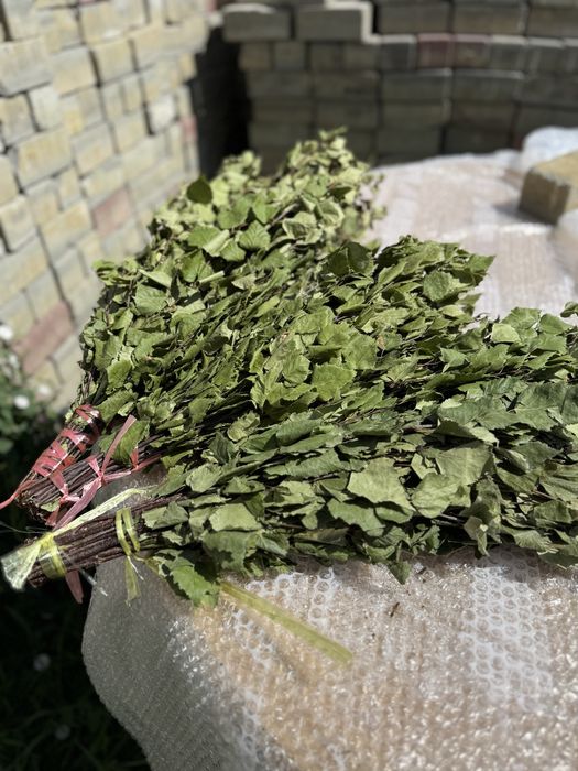 Продам банные веники!