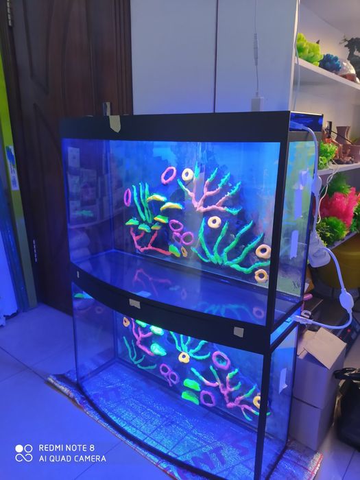 Akvarium Magazini Mirobod va Sergili