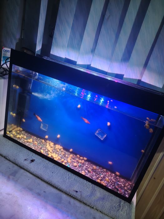 Akvarium 45Litr komplekt