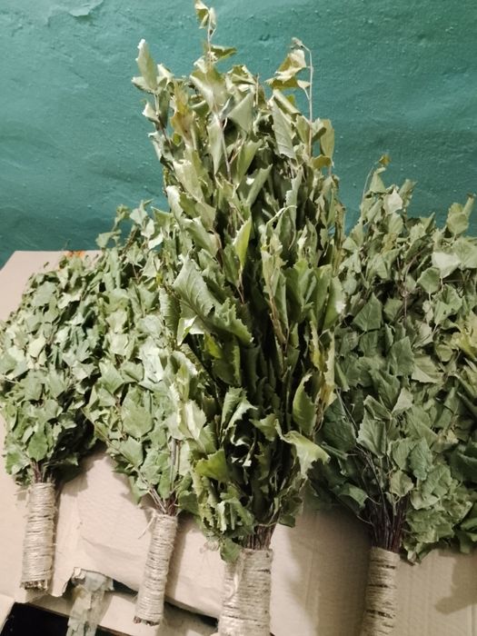 Березовые веники